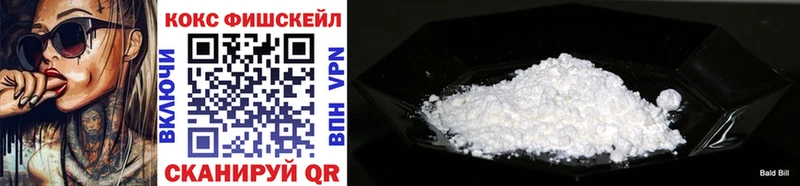 Купить закладки  Михайлов  COCAIN Fish Scale 