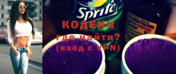 молекула духа Вяземский