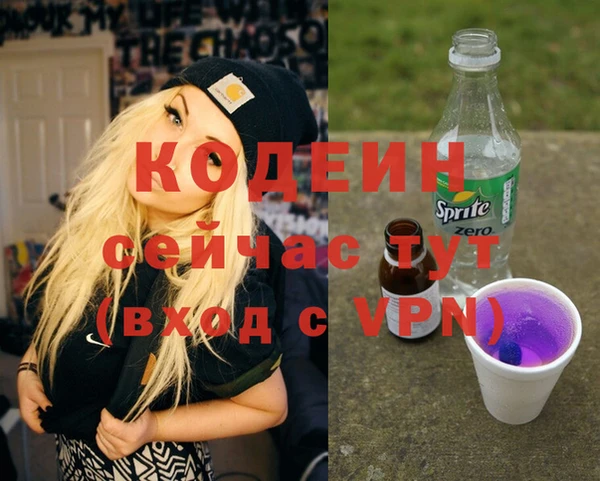 индика Вязники