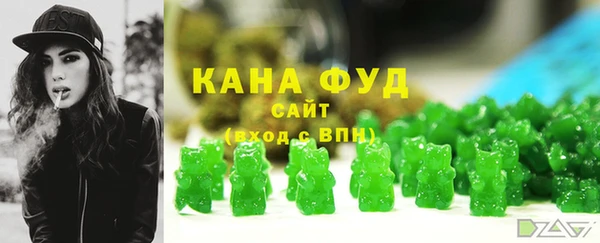 молекула духа Вяземский