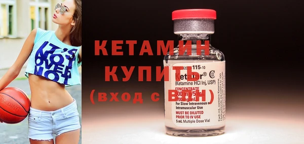 молекула духа Вяземский