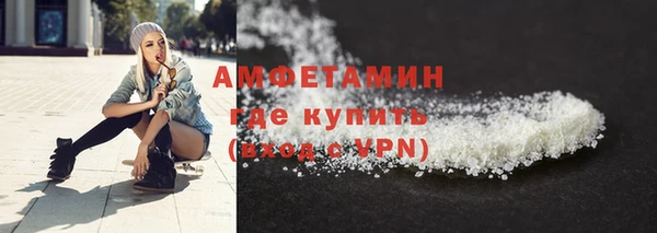 молекула духа Вяземский