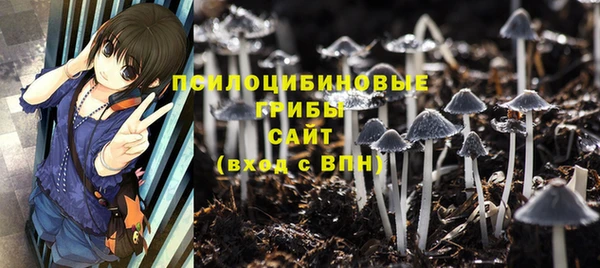 молекула духа Вяземский