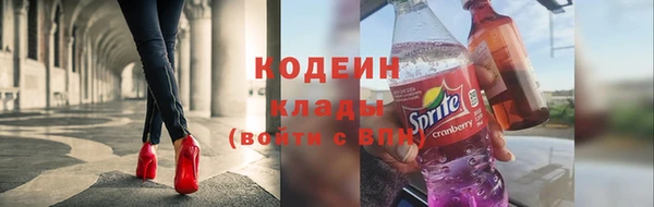 молекула духа Вяземский