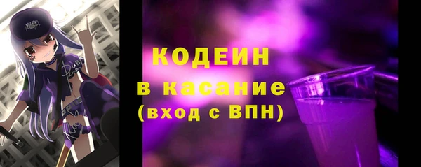 молекула духа Вяземский