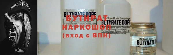 молекула духа Вяземский