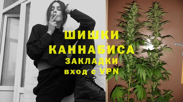 молекула духа Вяземский