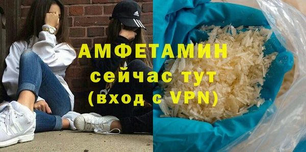 индика Вязники