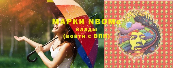 индика Вязники