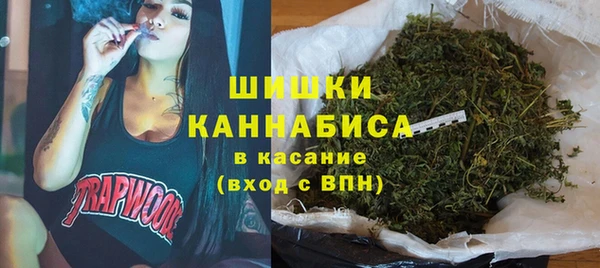 индика Вязники