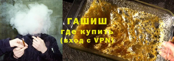 молекула духа Вяземский