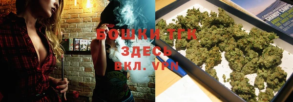 индика Вязники