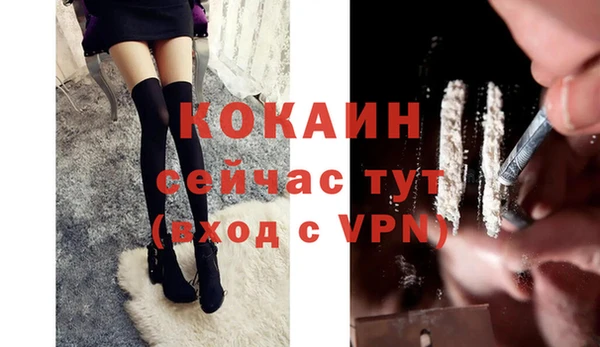индика Вязники