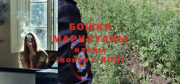 индика Вязники